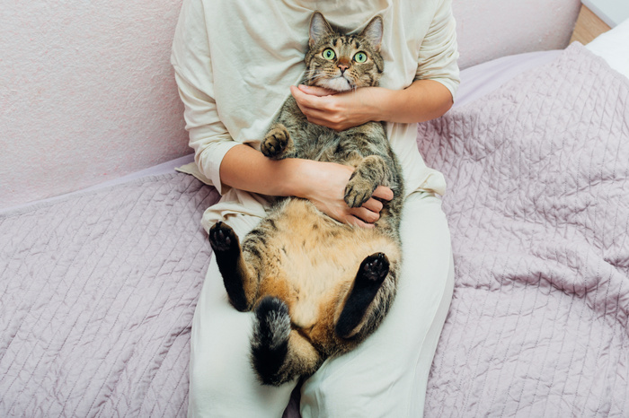 Person Cuddling with Cat
